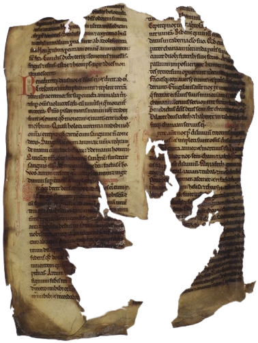 An image of a manuscript that was heavily damaged.